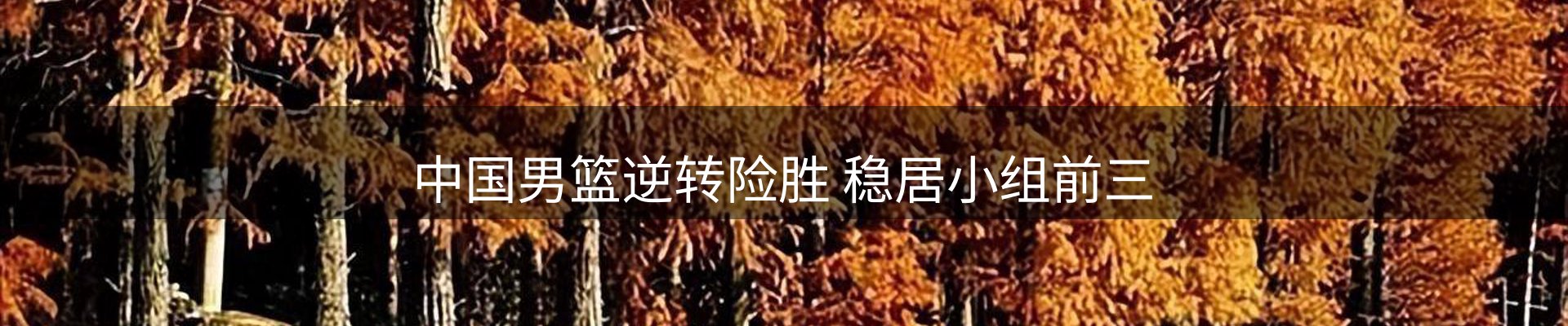 动态中心