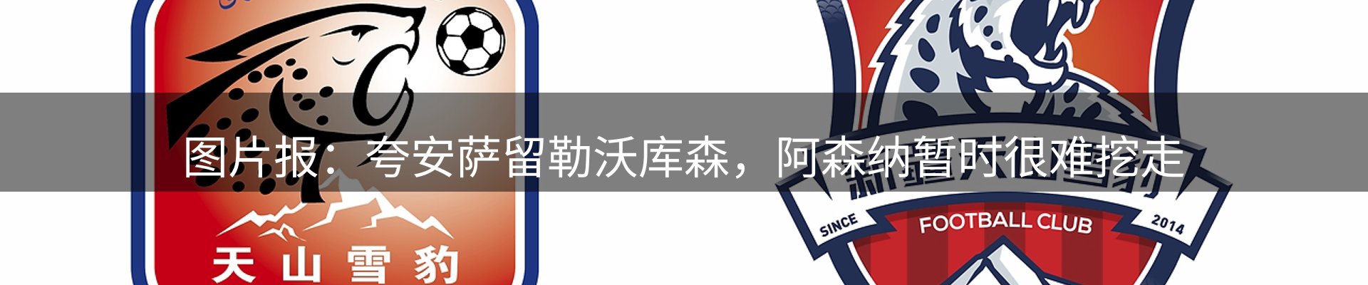 赛事资讯