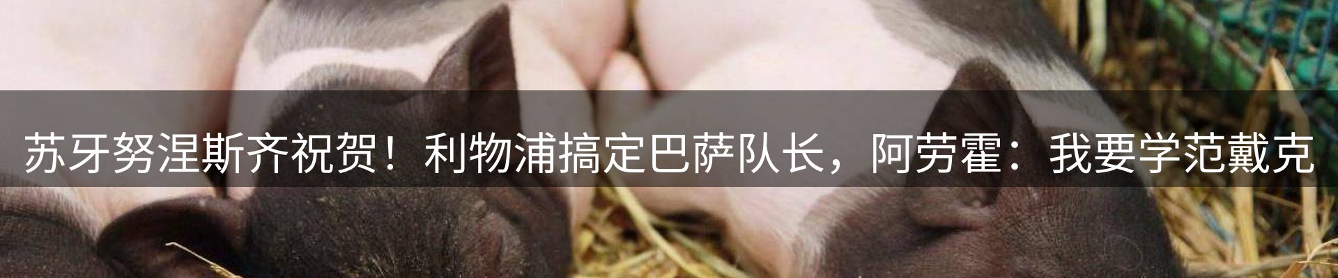 赛事资讯